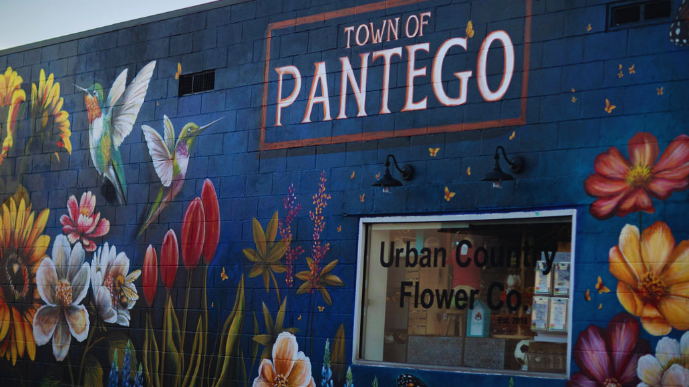 IT’S ALL ABOUT PANTEGO